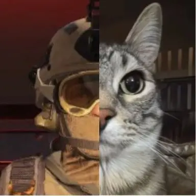Profile image of Roach