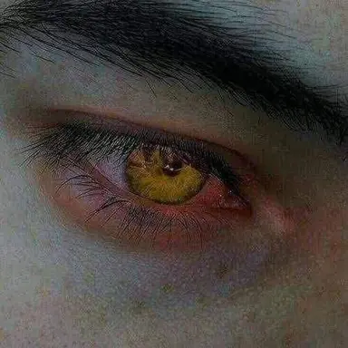 Profile image of Death the kid
