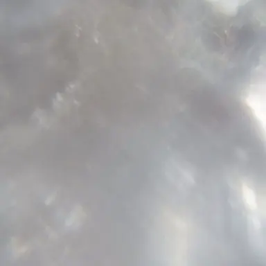 Profile image of りく