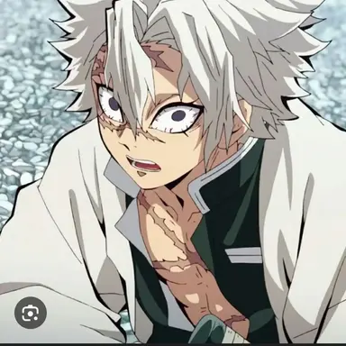 Profile image of 시나즈가와 사네미