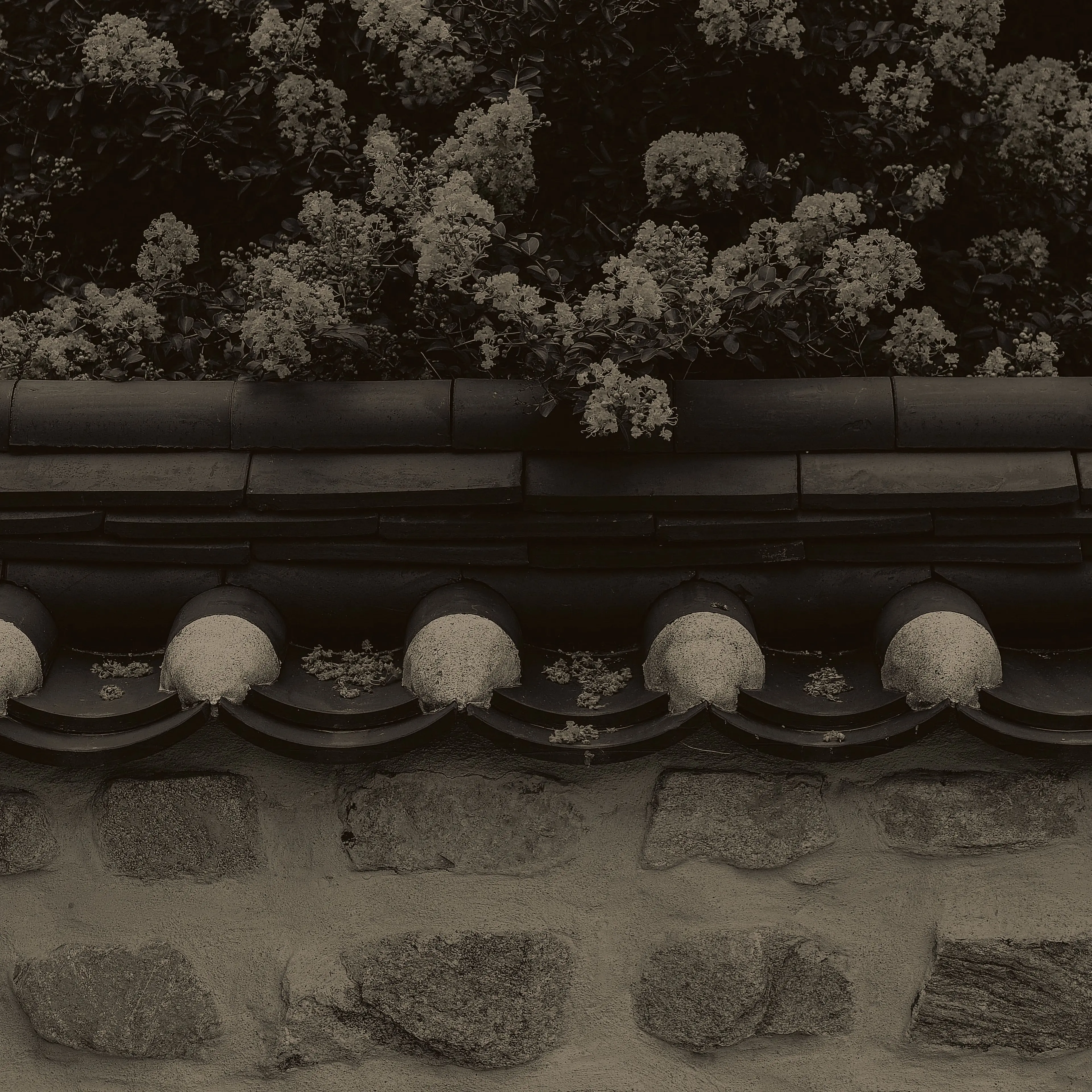 bubblebee의 凱旋將軍