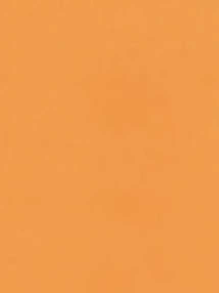 PlaidThrow6825의 大惨事