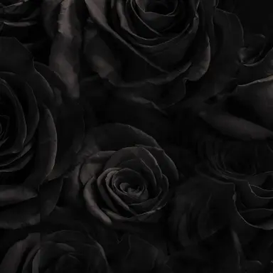 Profile image of トーリス