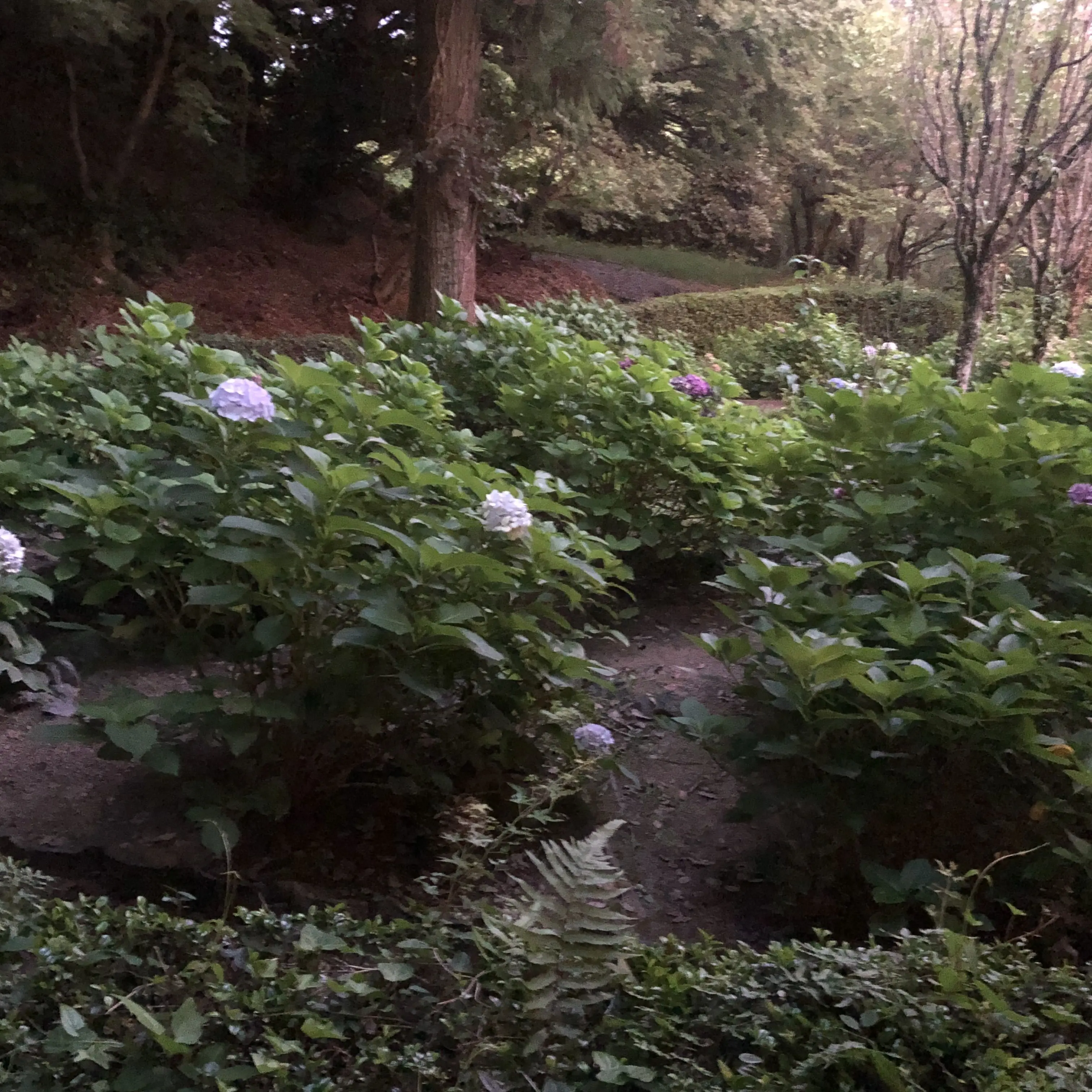 MuteLyre3179의 呪術廻戦組とぶりっ子！（ぶりっ子🖕☆）