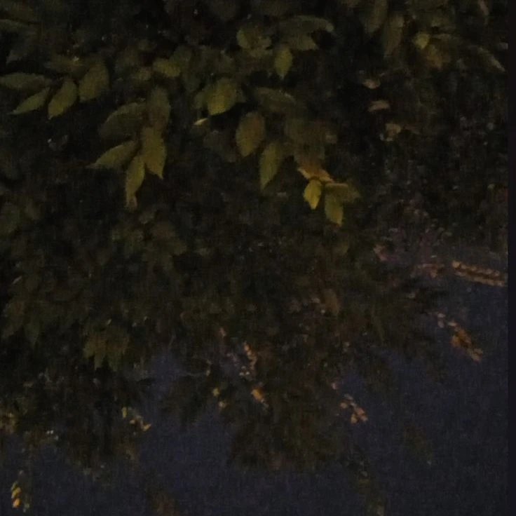 닝이줘