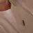 소꿉친구들