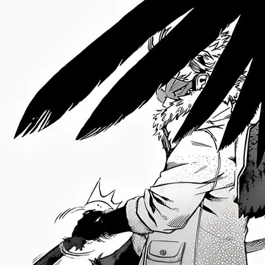 Profile image of Hawks