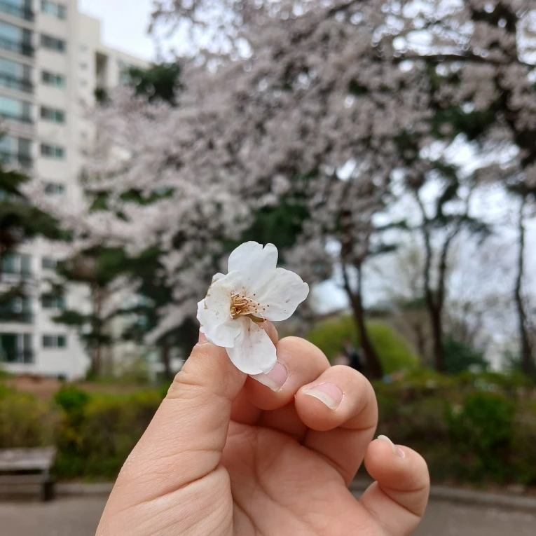 최범규