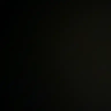 Profile image of 안차우윗