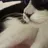 초모
