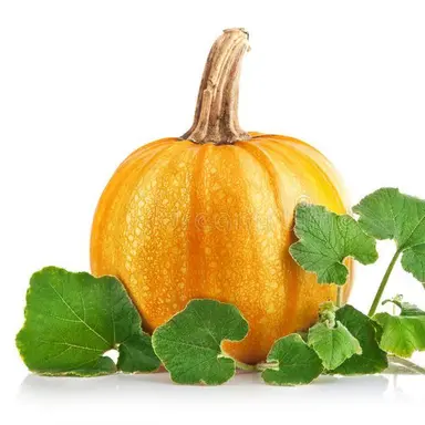 Profile image of 두섹카르