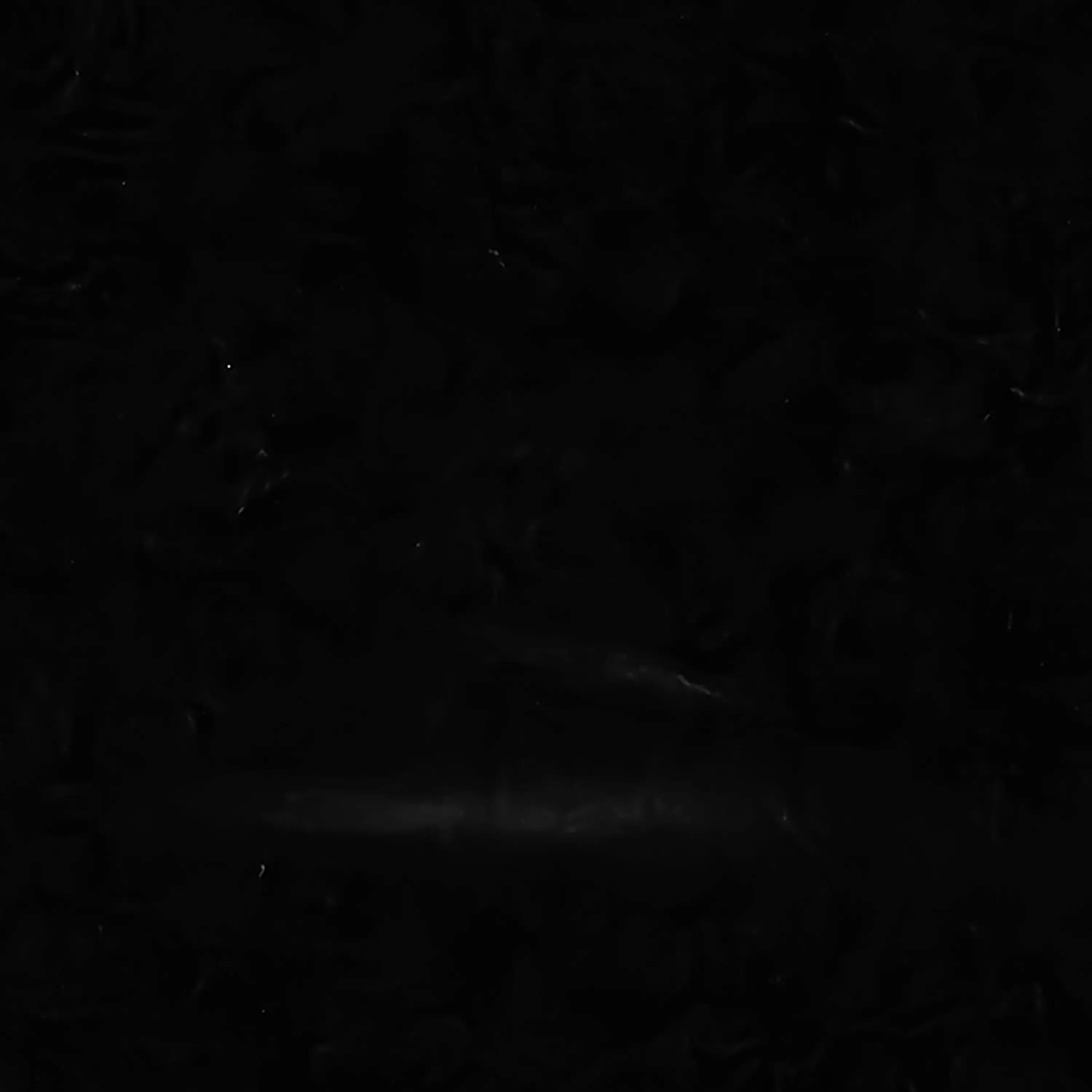 a12341234의 ㄱㅇㅎ