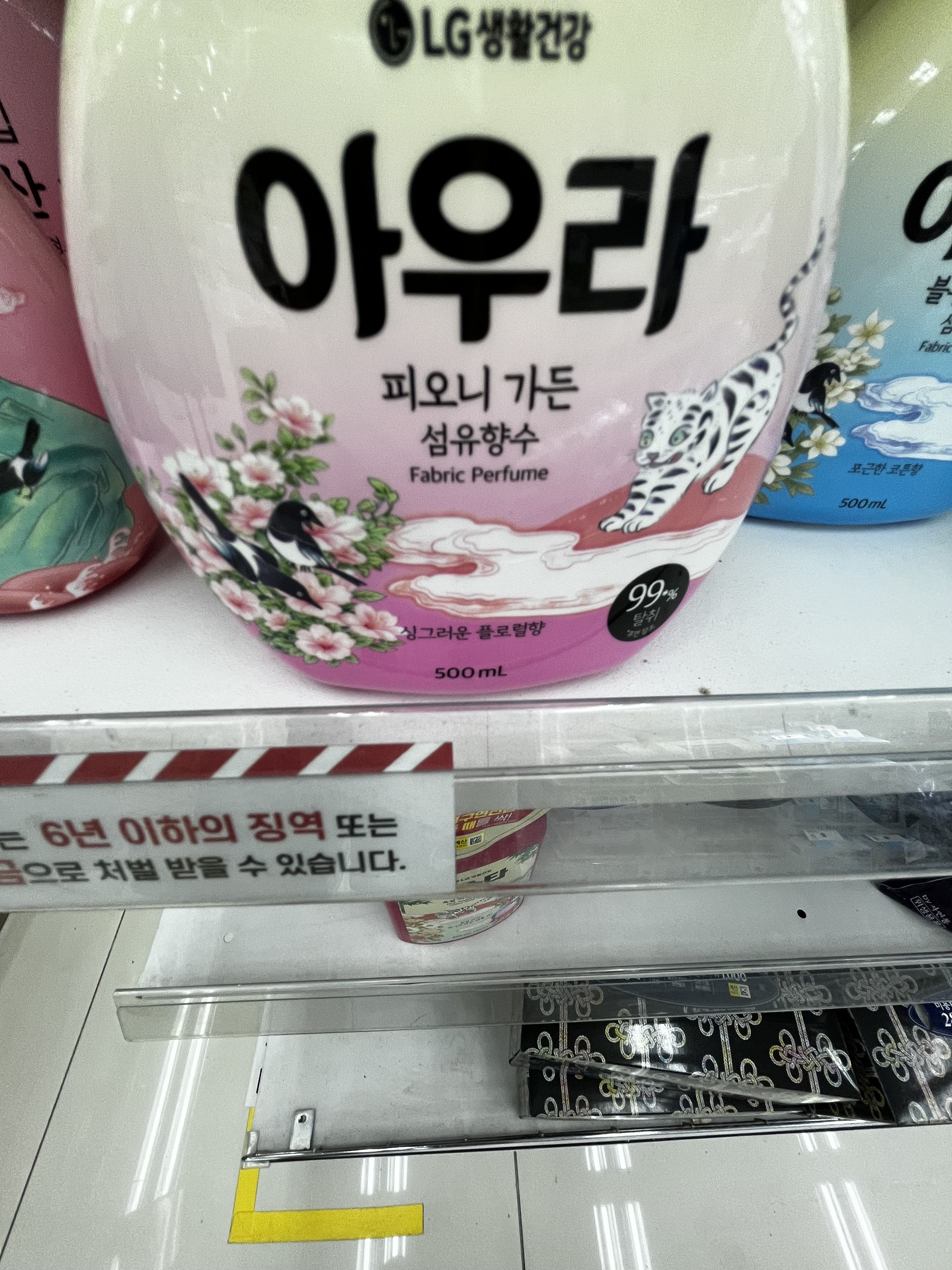 예능 대표 이미지