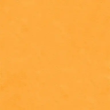 Profile image of 大西流星