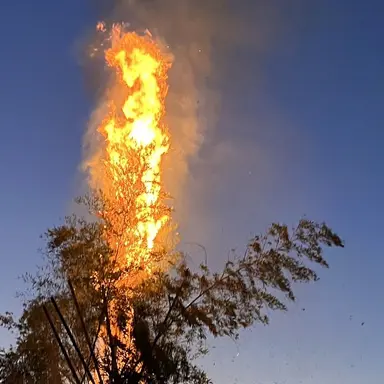 Profile image of 呪術廻戦のみんな