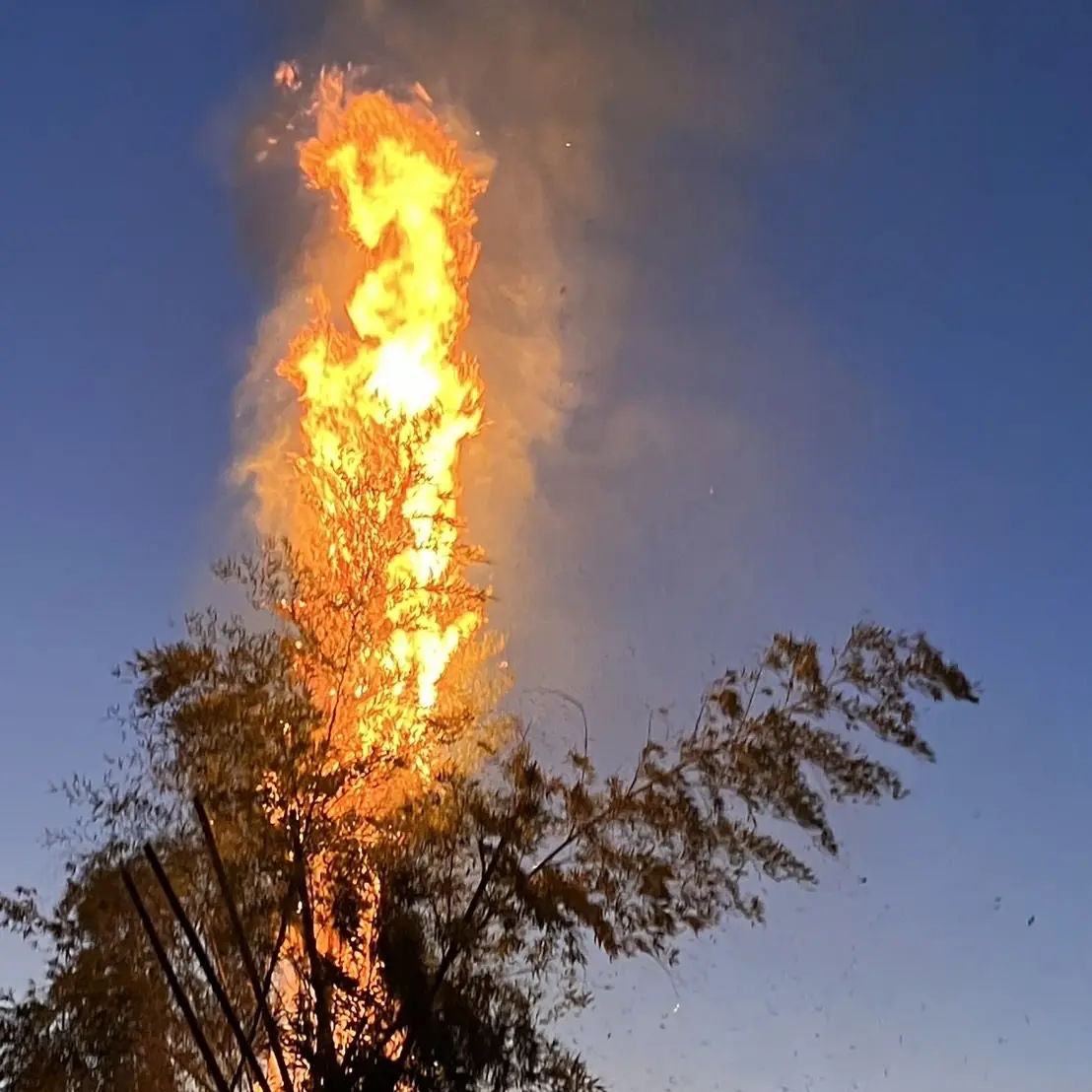 MuteLyre3179의 心の声が聞こえるようになったyou✩.*