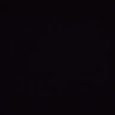 Profile image of 채스터