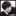 김서준