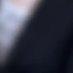 MmmmYyyy의 김 애 리