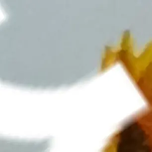 Profile image of 11번