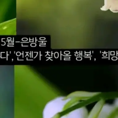 Profile image of 13번