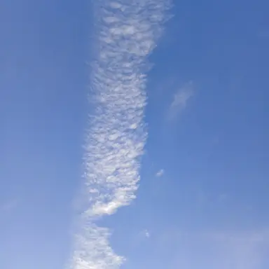 Profile image of 1번