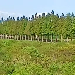 Profile image of 6번