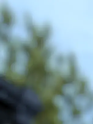 ipanjin의 権力の捕食者、庶民の獲物を愛でる