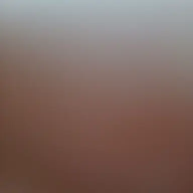 Profile image of 허눈미 가족