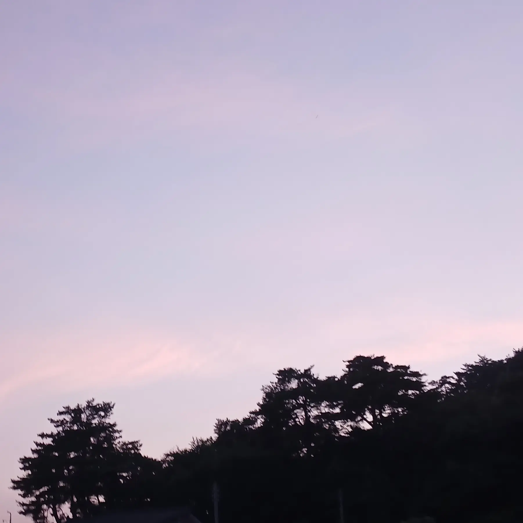 Suna_lin125의 0125