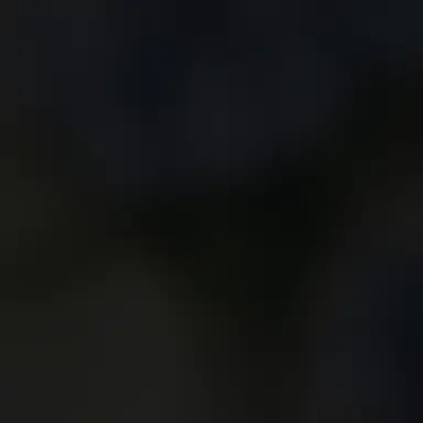 Profile image of 한동민