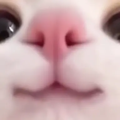 Profile image of 팀나빠