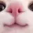 팀나빠