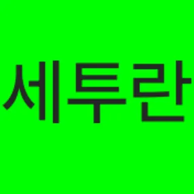 Profile image of 세투란