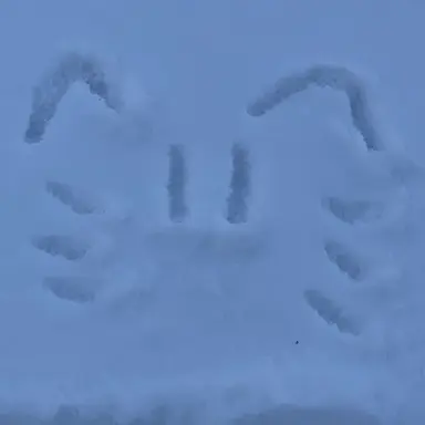 Profile image of 박성호