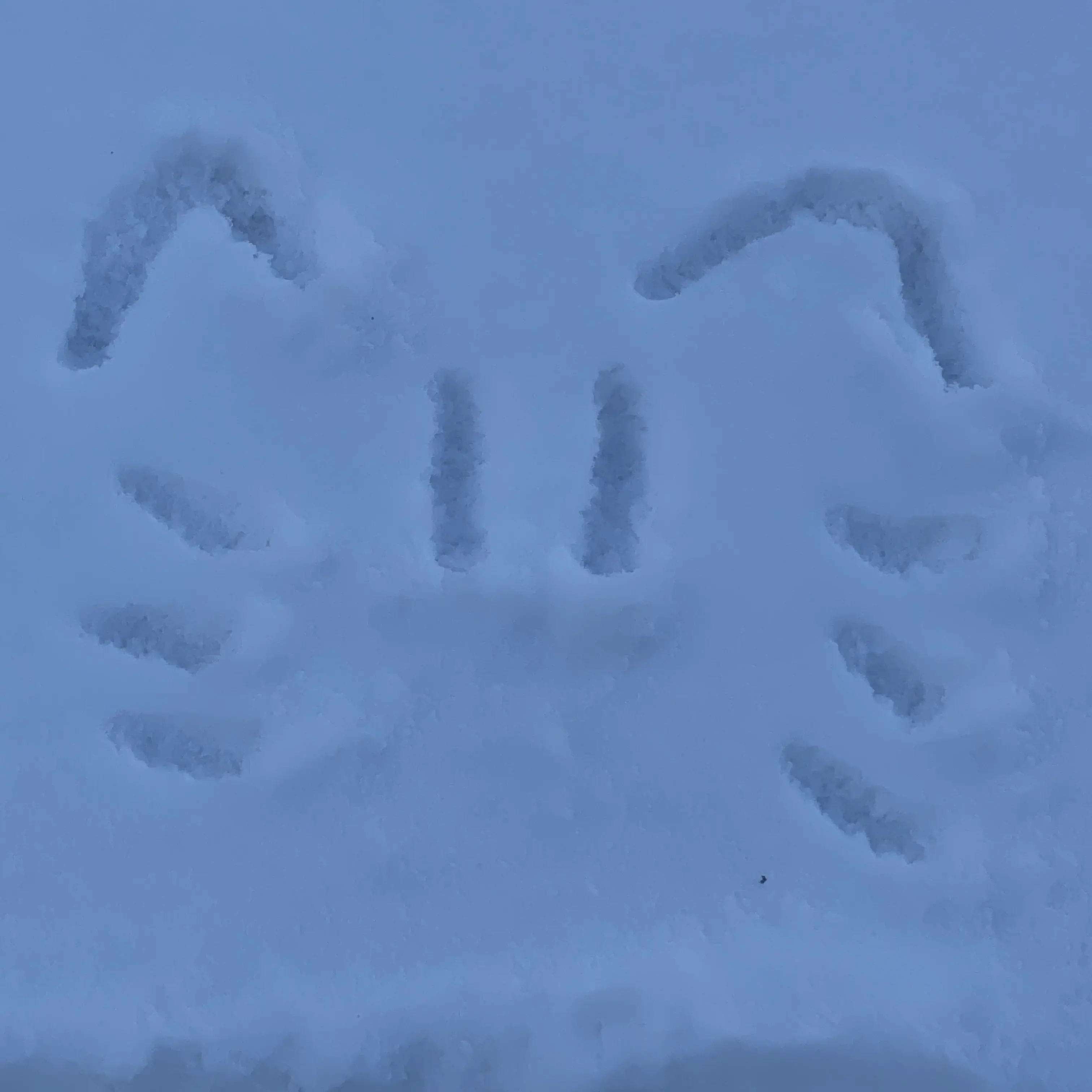 SnugCorn1695의 어쩌다보니 조직에 공주가 되었다