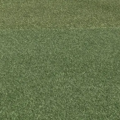 Profile image of 이채영