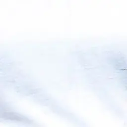 Profile image of 박지원