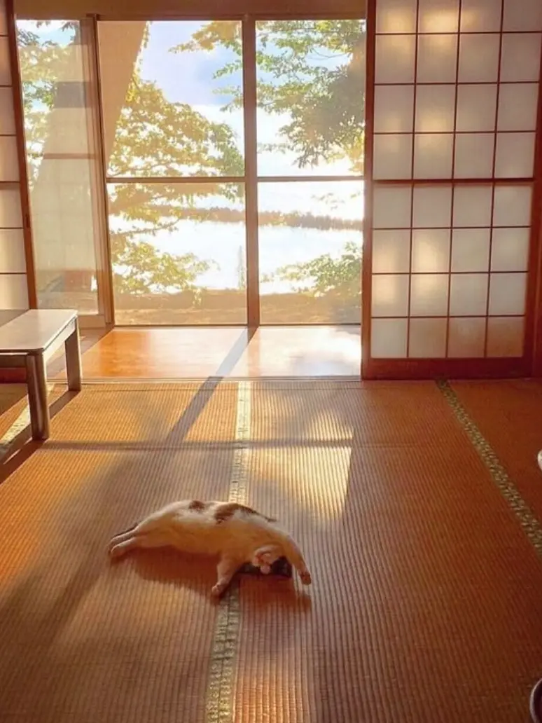 hakip의 ︎✧旅館被った上部屋も一緒