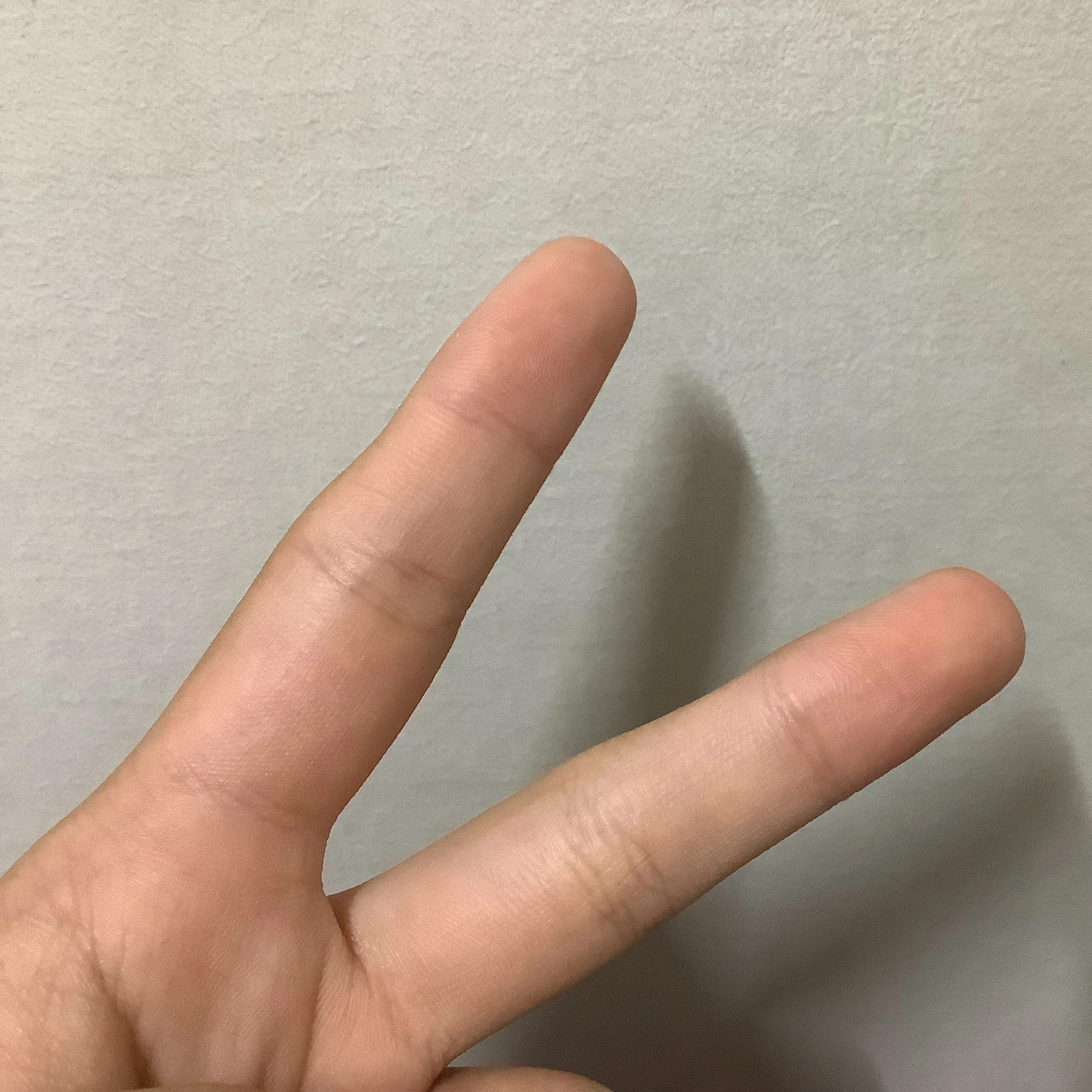 성시연
