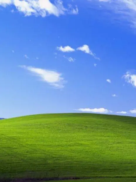 Cocoa_1_의 PC Virus