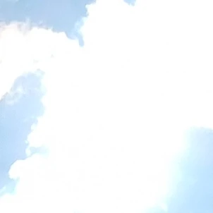 임시환