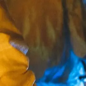 Profile image of 礼王