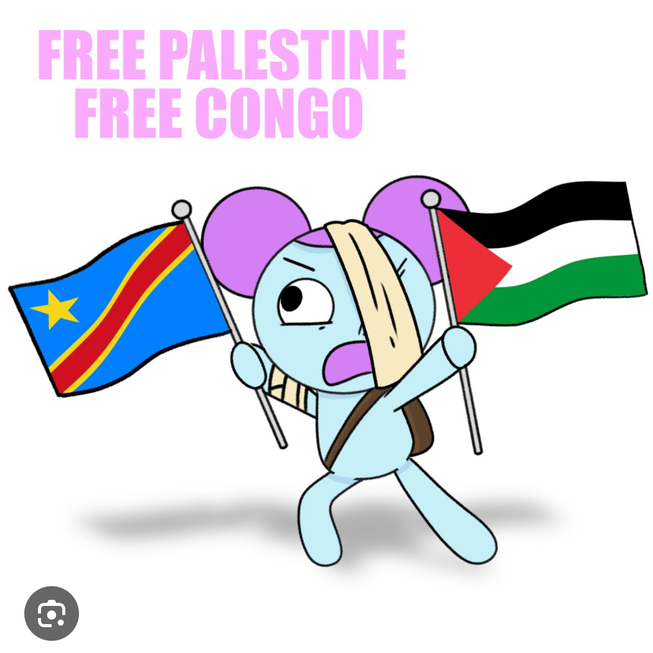 자유 콩고, 자유 팔레스타인을 외친다 대표 이미지