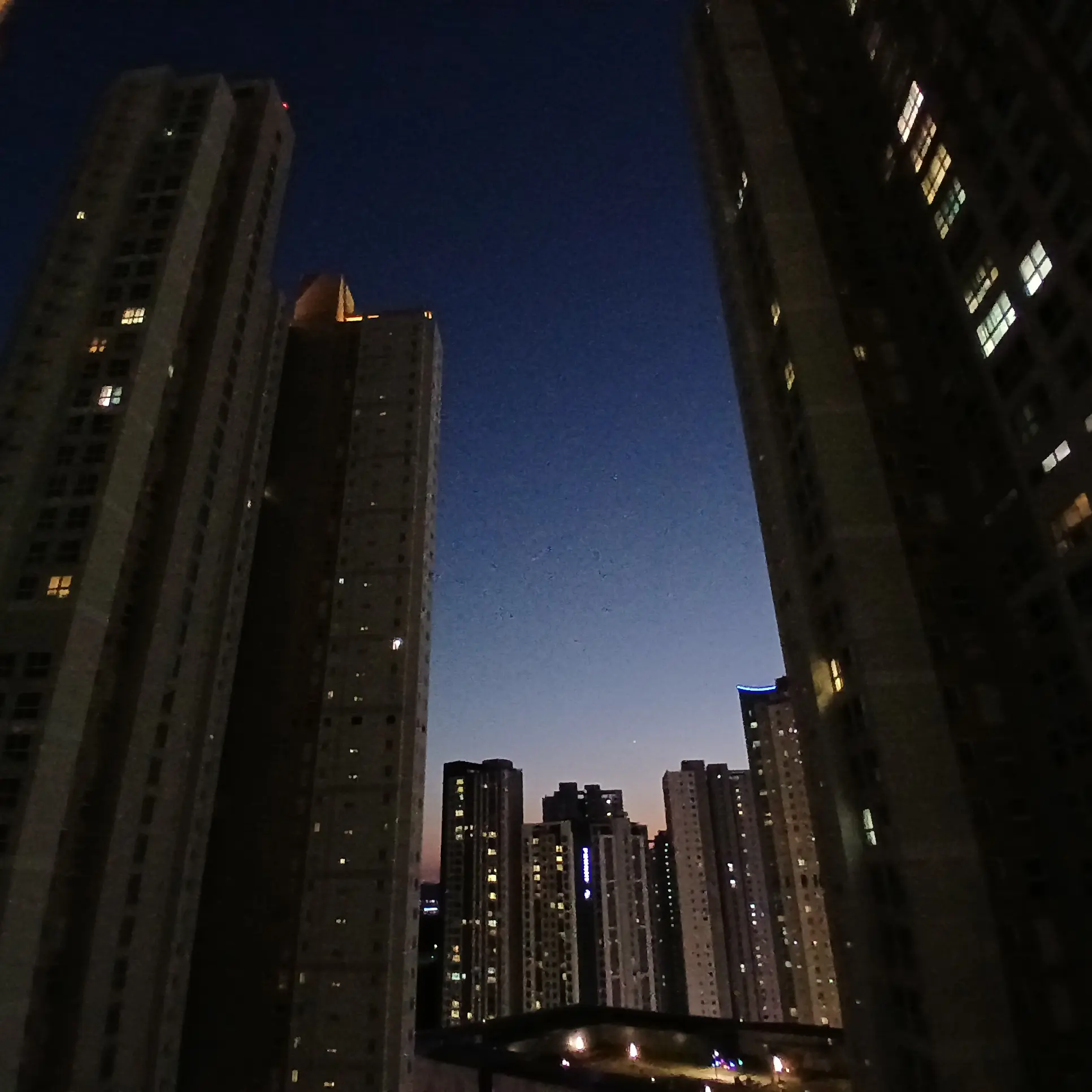 lloveyoubady의 구시몬 (bl)