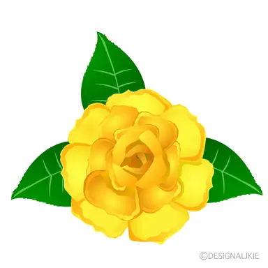 Profile image of 涼架