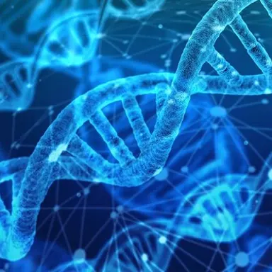 Profile image of 진버스