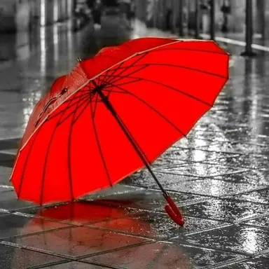 Profile image of 마플