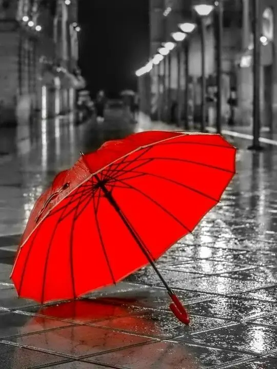 NosyGoal2562의 마플