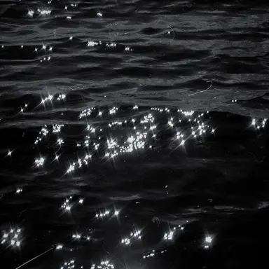 Profile image of セボルガ